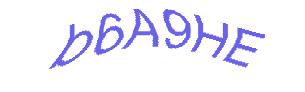 عبارت امنیتی