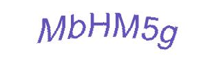 عبارت امنیتی