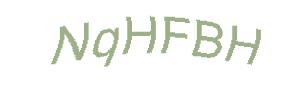 عبارت امنیتی