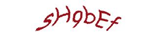 عبارت امنیتی