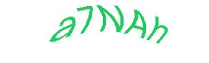 عبارت امنیتی