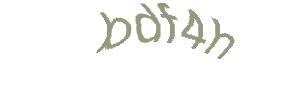 عبارت امنیتی