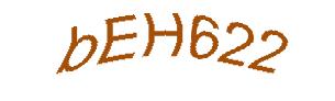عبارت امنیتی