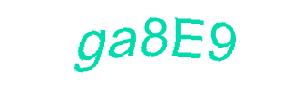 عبارت امنیتی