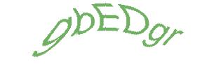 عبارت امنیتی