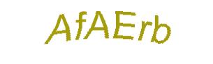 عبارت امنیتی