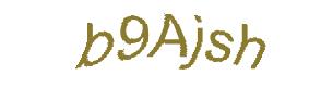 عبارت امنیتی