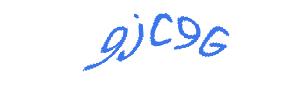 عبارت امنیتی