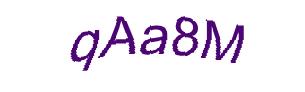 عبارت امنیتی