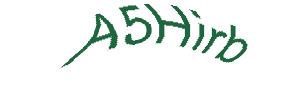 عبارت امنیتی