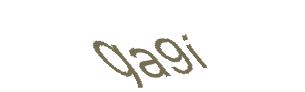 عبارت امنیتی