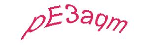 عبارت امنیتی