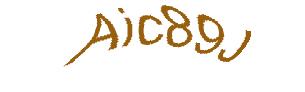 عبارت امنیتی