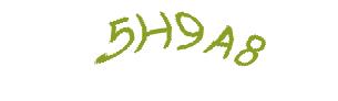 عبارت امنیتی