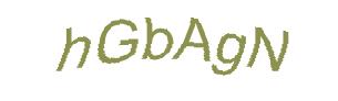 عبارت امنیتی