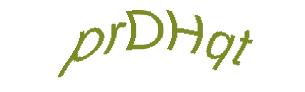 عبارت امنیتی