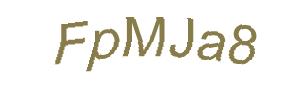 عبارت امنیتی