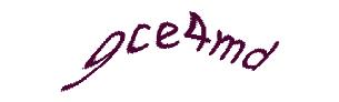 عبارت امنیتی