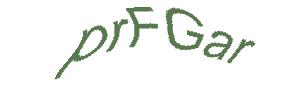عبارت امنیتی