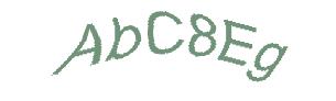 عبارت امنیتی