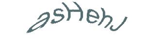 عبارت امنیتی
