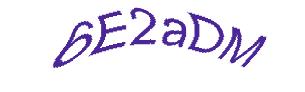 عبارت امنیتی