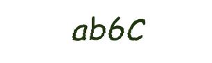عبارت امنیتی