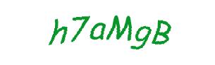 عبارت امنیتی