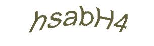 عبارت امنیتی
