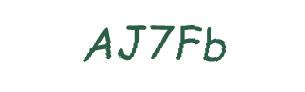 عبارت امنیتی