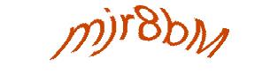 عبارت امنیتی