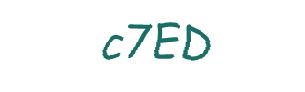 عبارت امنیتی