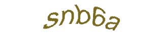 عبارت امنیتی