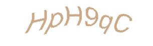 عبارت امنیتی