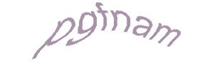 عبارت امنیتی