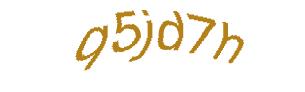 عبارت امنیتی