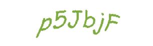 عبارت امنیتی