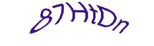 عبارت امنیتی