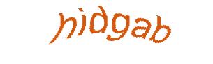 عبارت امنیتی