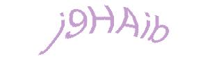 عبارت امنیتی
