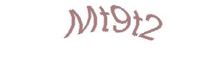 عبارت امنیتی