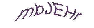 عبارت امنیتی