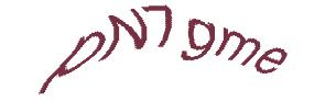 عبارت امنیتی