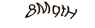 عبارت امنیتی