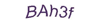 عبارت امنیتی