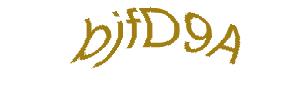 عبارت امنیتی