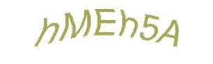 عبارت امنیتی