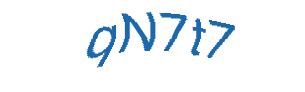 عبارت امنیتی