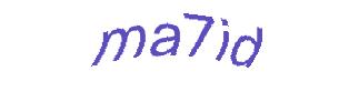 عبارت امنیتی