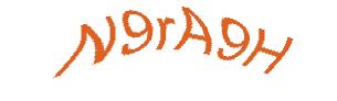 عبارت امنیتی